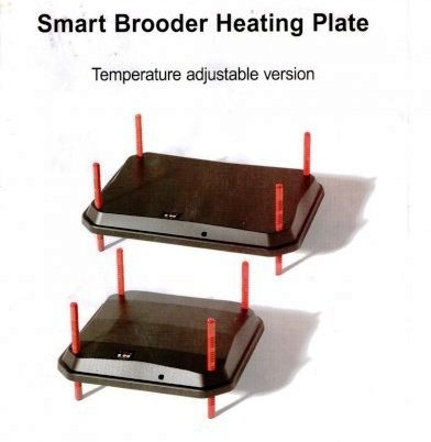 Heat Plate Brooder 400 x 400