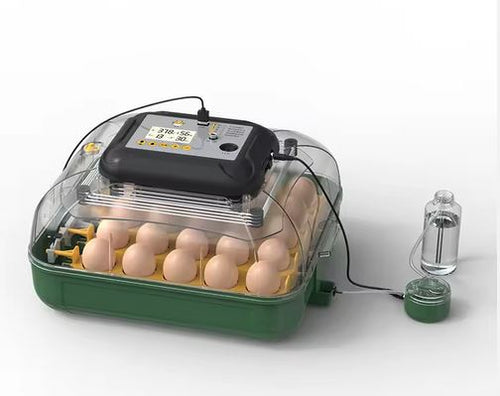 E-CLUCKY 30 Automatic Egg Incubator