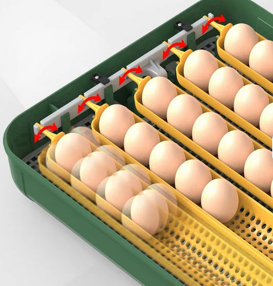 E-Clucky Long Egg Tray - Suit Duck and Turkey