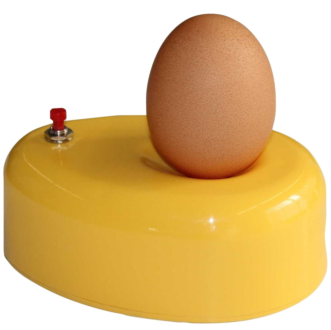 Egg Candler for Poultry