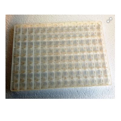 Egg Tray for Top Hatch - Chicken